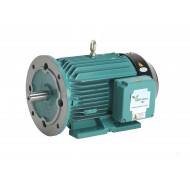 CG 1HP 1000 RPM IE2 3PH Flange Mounted Motor (B5)